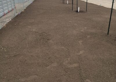 Levelled surface with trees